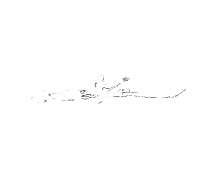 image-988736-nigelkayaks_logo_3_black_S-aab32.png